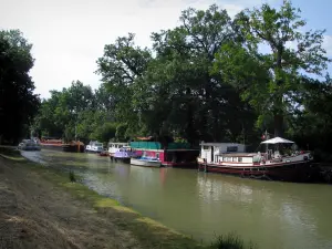 Canal du Midi - Berge, canal avec des péniches et des bateaux amarrés, et arbres