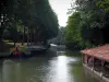Canal du Midi - Canal avec une péniche et arbres au bord de l'eau