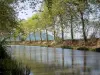 Canal du Midi - Canal (voie d'eau), roseaux et arbres