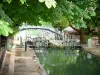 Canal Saint-Martin - Écluse ombragée