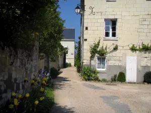 Candes-Saint-Martin - Case del villaggio