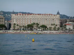 Cannes - Sea, beach, palm tree on the Croisette and the Carlton hotel
