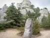 Caos de Montpellier-le-Vieux - Rochas dolomíticas ruiniformes e árvores, no Causse Preto, no Parque Natural Regional de Grands Causses