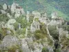Caos de Montpellier-le-Vieux - Rochas dolomíticas ruiniformes, em um cenário verde