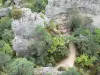 Caos de Montpellier-le-Vieux - Rochas dolomíticas ruiniformes cercadas por vegetação