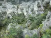 Caos de Montpellier-le-Vieux - Caos rochoso ruiniforme
