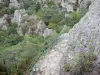 Caos de Montpellier-le-Vieux - Vista do caos rochoso ruinoso