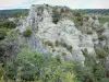 Caos de Montpellier-le-Vieux - Ruiniform caos rocoso en una zona verde