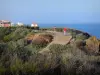 Le Cap-d'Agde - Promenade with view of the Mediterranean Sea, houses and residences of the seaside resort