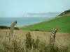 Cap Blanc-Nez - Côte d'Opale : barrière barbelée, végétation, herbage, mer et cap Blanc-Nez en arrière-plan (Parc Naturel Régional des Caps et Marais d'Opale)
