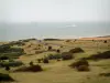 Cap Blanc-Nez - Côte d'Opale : vue sur les pelouses herbeuses (lande), la route et la mer avec un paquebot (ferry) (Parc Naturel Régional des Caps et Marais d'Opale)