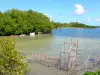 Cap Chevalier - Petit port avec ses barques et ses casiers de pêche