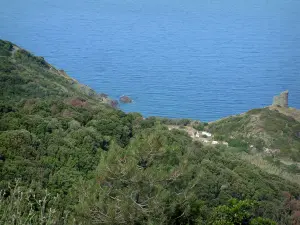 Cap Corse - Bomen, struiken en Genuese toren in de zee (West Coast)