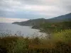 Cap Corse - Wilde bloemen en heuvels aan de oostkust met uitzicht op zee
