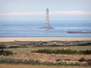 Cap de la Hague - Caps strada: faro in mare (il canale), le mucche nei prati; paesaggio della penisola del Cotentin