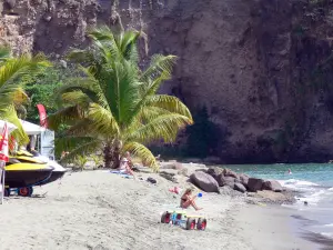 Le Carbet - Détente sur la plage du Coin ponctuée de palmiers