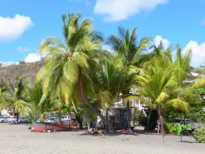 Le Carbet - Cocotiers et sable gris de la plage du Coin