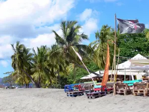 Le Carbet - Grande Anse du Carbet : bar de plage bordé de cocotiers