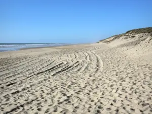 Carcans-Plage - Plage de sable et océan Atlantique