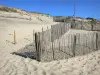 Carcans-Plage - Zand en ganivelles