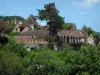 Carennac - Bäume und Häuser des Dorfes, im Quercy