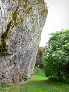 Carlat rock - Basaltic rock