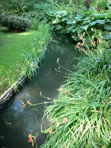 Casa e i giardini di Claude Monet - Giardino di Monet a Giverny: Giardino Acqua: ruscello fiancheggiato da gigli in fiore