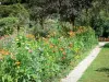 Casas y jardines de Claude Monet - Jardín de Monet en Giverny: Clos Normand: arriate