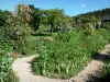 Casas y jardines de Claude Monet - Jardín de Monet en Giverny: Clos Normand: las plantas y las rosas en flor