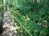 Casas y jardines de Claude Monet - Jardín de Monet en Giverny: Jardín del Agua: entrada, los lirios de color naranja, pequeños arroyos y los árboles