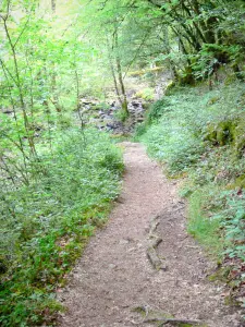 Cascadas de Murel - Caminar camino que conduce a las cascadas
