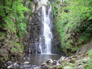 Cascade du Sartre - Chute d'eau bordée de végétation, située sur la commune de Cheylade, dans le Parc Naturel Régional des Volcans d'Auvergne