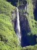Cascata del Trou de Fer - Vista cascata di Trou de Fer
