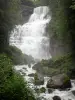 Cascate dell'Hérisson - Gamma dei (cascata) Cascade, rocce e alberi