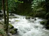 Cascate dell'Hérisson - Fiume (the Hedgehog), rocce, alberi in riva al mare