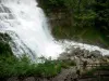 Cascate dell'Hérisson - Gamma dei (cascata) Cascade, percorso, rocce e arbusti