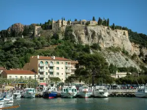 Cassis - Versierde boom heuvel met uitzicht op de haven en de boten