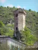 Castellane - Torre Pentagonale