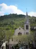 Castellane - Iglesia San Víctor, árboles y casas en el casco antiguo