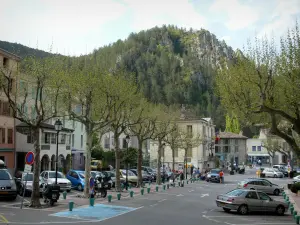 Castellane - Los árboles y las casas del casco antiguo