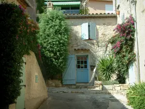 Le Castellet - Bougainvillées (bougainvilliers) en fleurs, arbustes, ruelle avec un chevalet et maisons du village médiéval