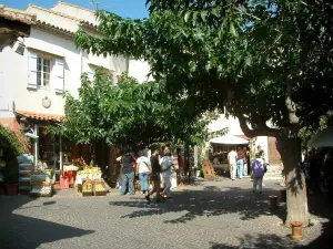 Le Castellet - Bomen, souvenir winkels en huizen van het middeleeuwse dorp