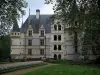 Castello di Azay-le-Rideau - Castello rinascimentale con il suo scalone