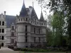 Castello di Azay-le-Rideau - Castello rinascimentale e gli alberi