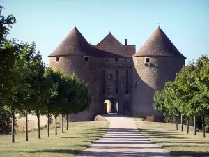 Castello di Berzé-le-Châtel - Alberato viale che conduce al corpo di guardia, nel Mâconnais