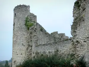 Castello di Billy - Castello medievale (fortezza)