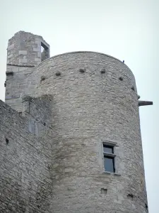 Castello di Billy - Visita al castello medievale (fortezza)