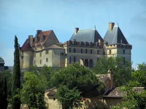 Castello di Biron - Castle, alberi e tetti delle case, in Périgord