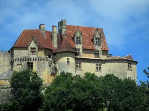 Castello di Biron - Castello e alberi, in Périgord