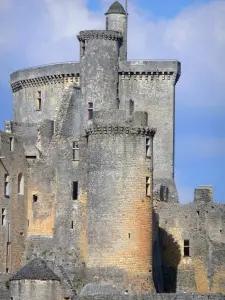 Castello di Bonaguil - Dungeon e le torri della fortezza (castello)